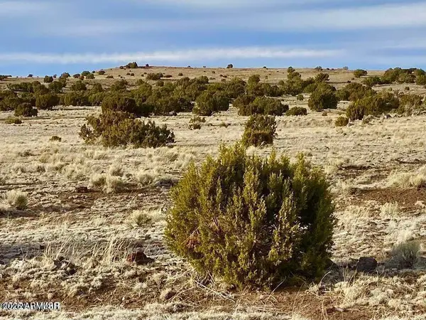 TBD Co Rd 5150 1.22 Acres --, Concho, AZ 85924