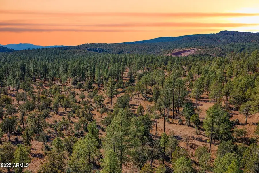 0000 Fawn #4 Drive #A, Pine, AZ 85544 - #3