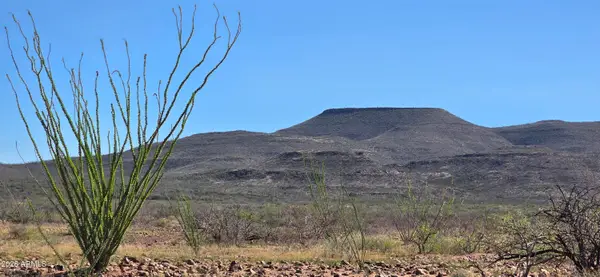 2952 E Jones Boulevard #30, Tombstone, AZ 85638