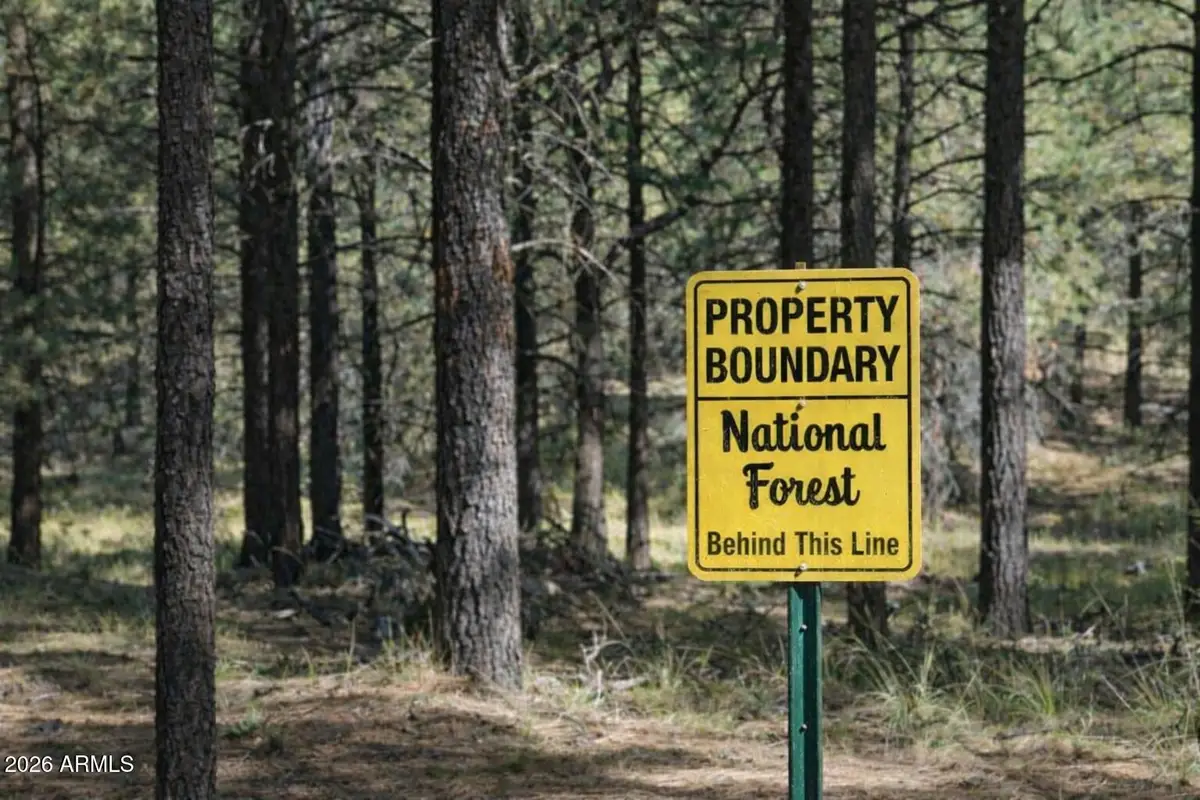 292 S Squirrels Nest Lane #11, Payson, AZ 85541 - #1