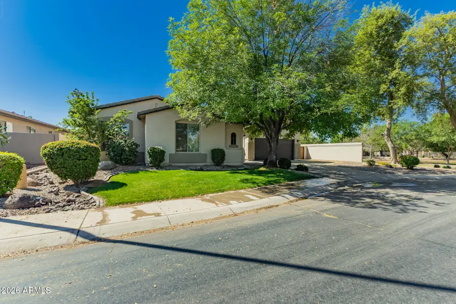 3293 E Canyon Way, Chandler, AZ 85249 - #2