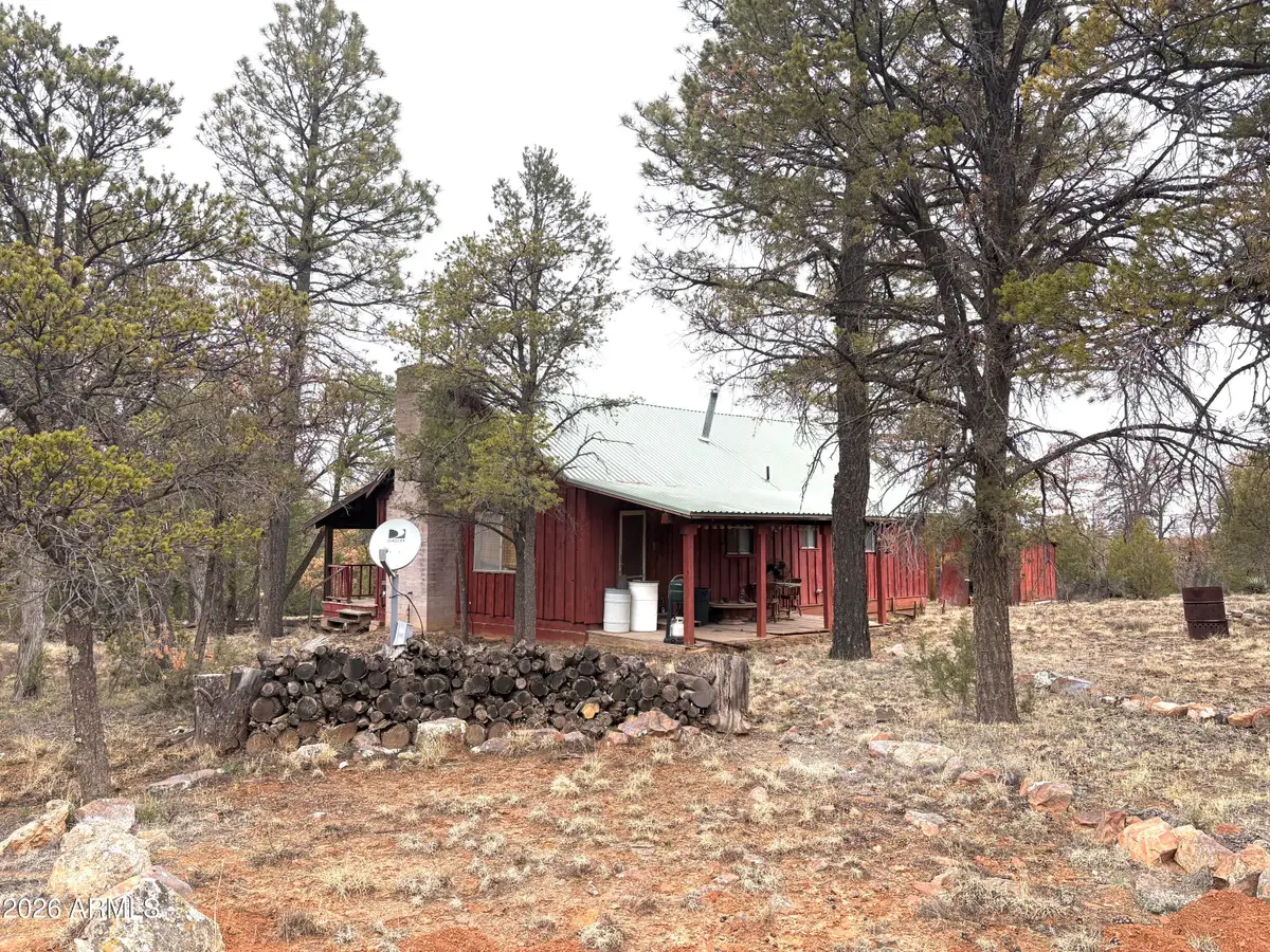 3130 Aspen Road, Overgaard, AZ 85933 - #1