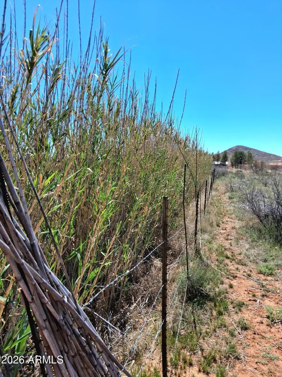 13588 S Desert Dawn Drive, Elfrida, AZ 85610 - #2