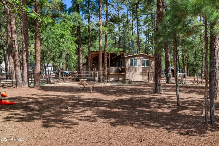 1659 Mormon Road, Happy Jack, AZ 86024 - #3