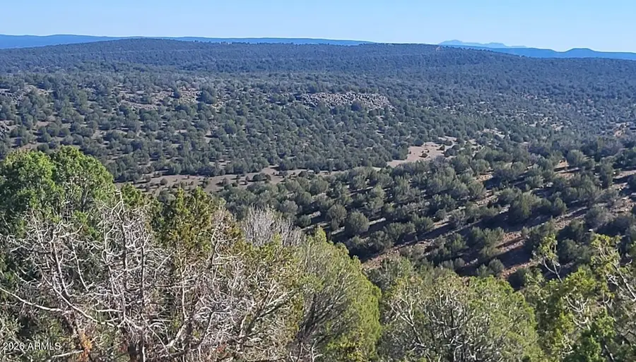929 Forest Service Rd 721 A -- #929, Williams, AZ 86046 - #3