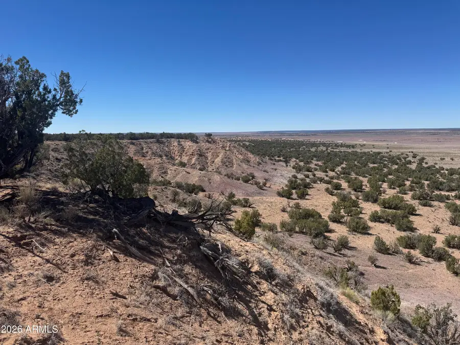 Lot 96 Bonito Valley Ranch -- #96, Saint Johns, AZ 85936 - #2
