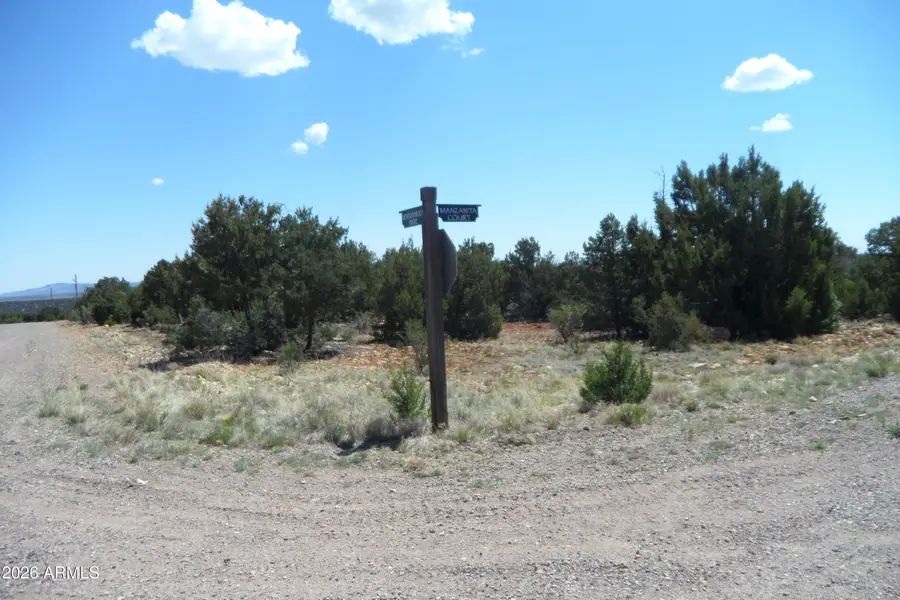 7856 Manzanita Court #119, Happy Jack, AZ 86024 - #3