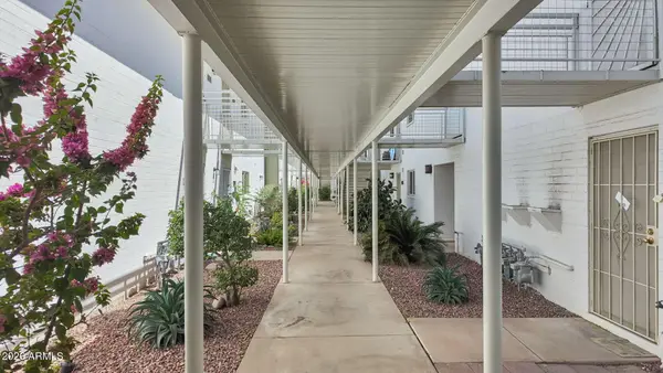 825 N Hayden Road #C104, Scottsdale, AZ 85257