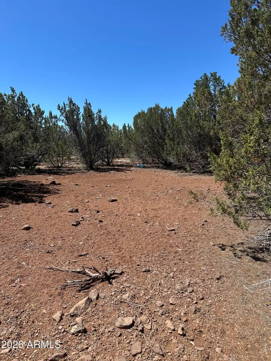 30 Acr 3190 Road #351, Vernon, AZ 85940 - #2