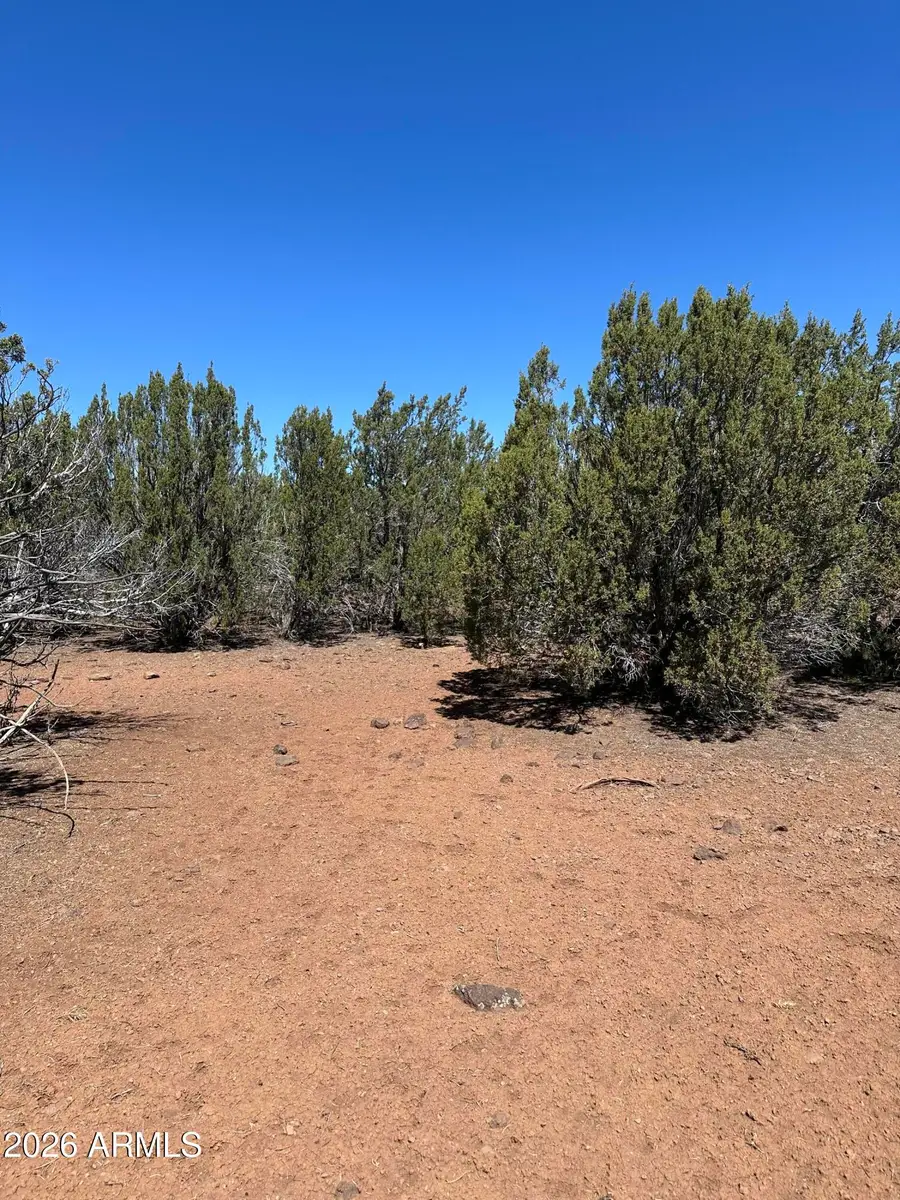 30 Acr 3190 Road #351, Vernon, AZ 85940 - #3