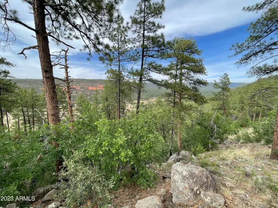 4770 N Pine Shadows Lane #2, Pine, AZ 85544 - #3