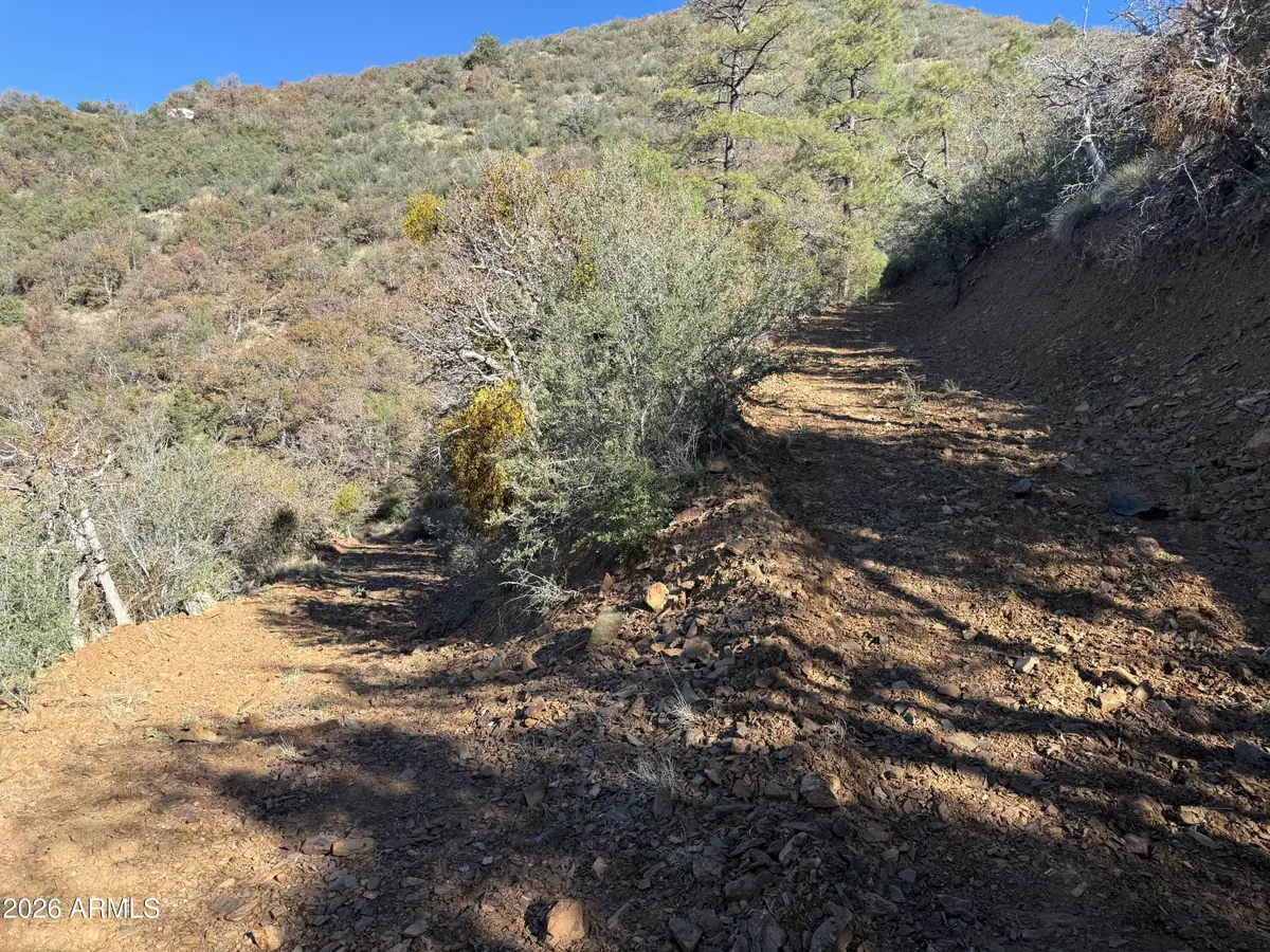 22560 S Gladiator Mine Road, Crown King, AZ 86343 - #1