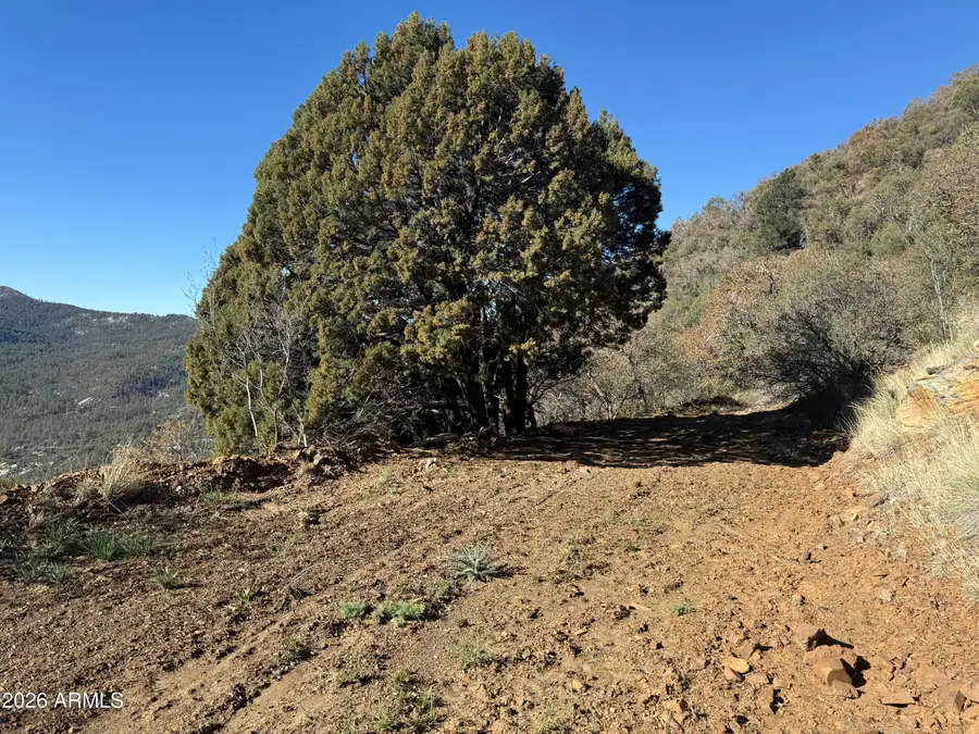 22560 S Gladiator Mine Road, Crown King, AZ 86343 - #2