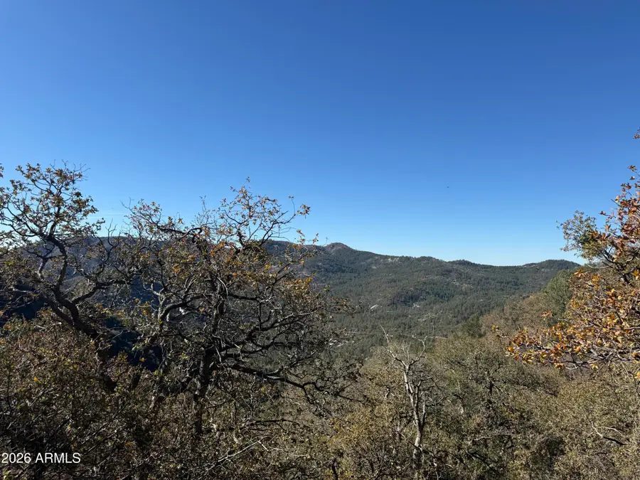 22560 S Gladiator Mine Road, Crown King, AZ 86343 - #3