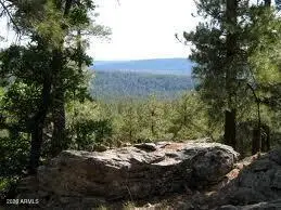 3378 Windy Lane #139, Heber, AZ 85928 - #1