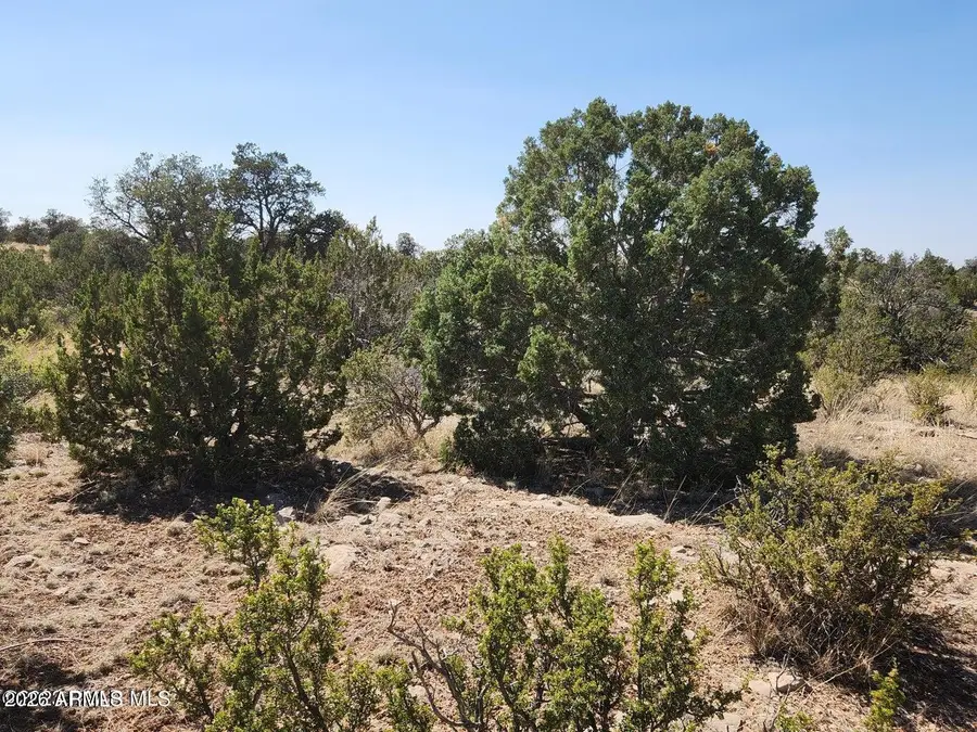 25753 W Eldorado Drive #200, Seligman, AZ 86337 - #3