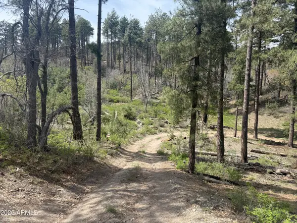 00 E Wild Flower Road, Crown King, AZ 86343