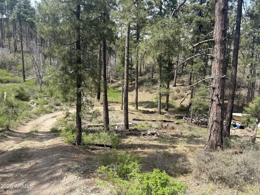 00 E Wild Flower Road, Crown King, AZ 86343 - #3