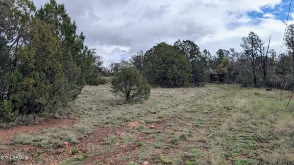 453 N Seeley Drive, Young, AZ 85554