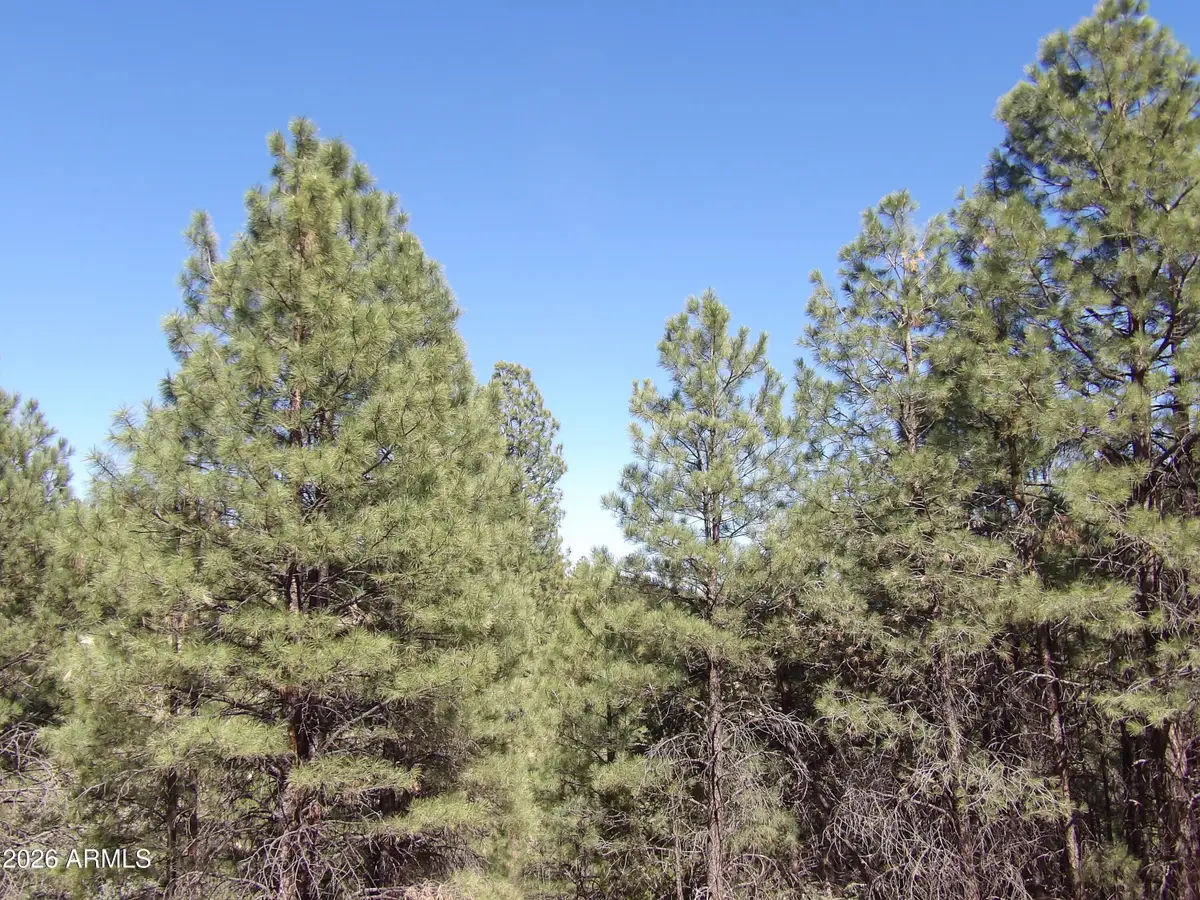 1601 Moqui Drive #77, Happy Jack, AZ 86024 - #1