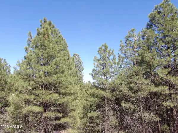 1601 Moqui Drive #77, Happy Jack, AZ 86024