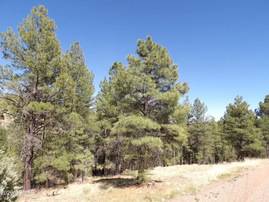 1601 Moqui Drive #77, Happy Jack, AZ 86024 - #3