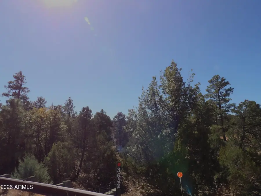 3642 Pinehurst Drive #169, Happy Jack, AZ 86024 - #2