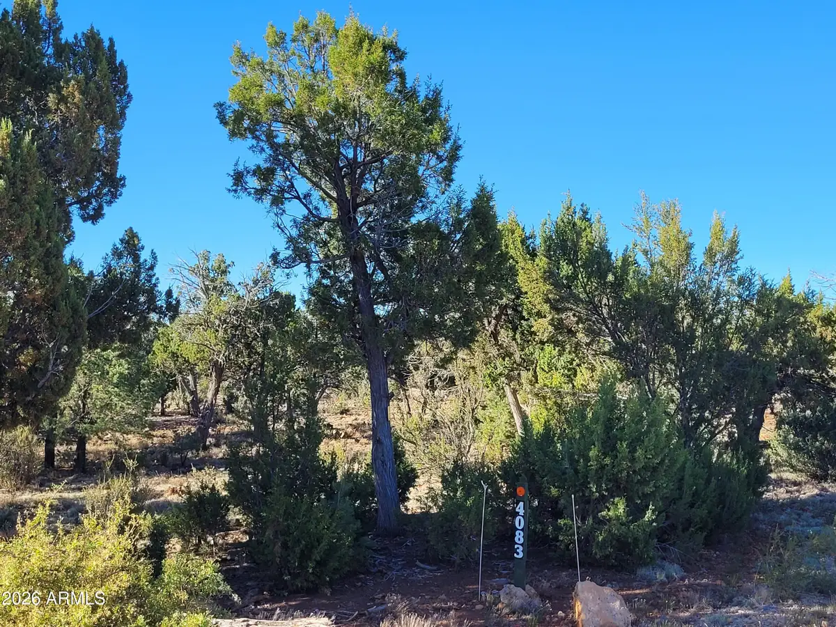 4083 Sunset Ridge Loop #175, Happy Jack, AZ 86024 - #1