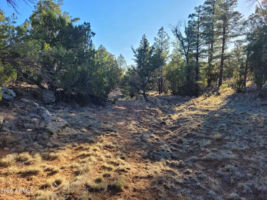 4083 Sunset Ridge Loop #175, Happy Jack, AZ 86024 - #2