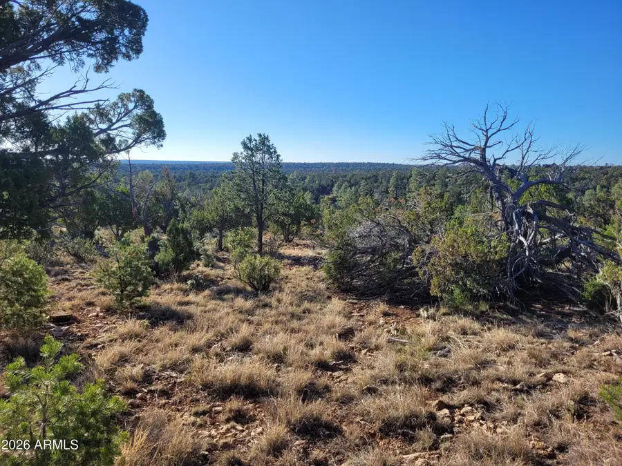 4083 Sunset Ridge Loop #175, Happy Jack, AZ 86024 - #3