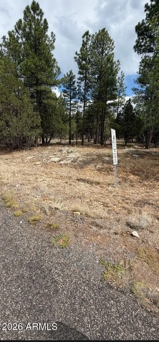 2989 Robin Lane, Happy Jack, AZ 86024 - #2