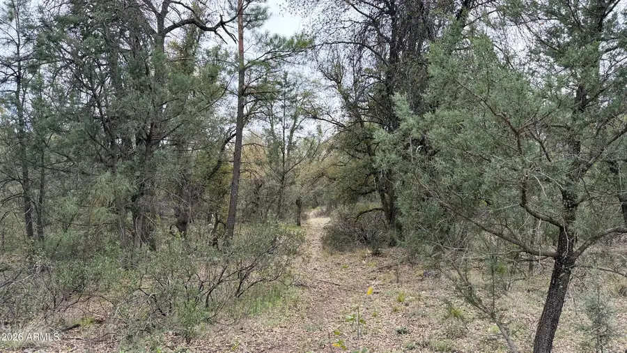 117 N Rifle Barrel Road #41, Young, AZ 85554 - #3