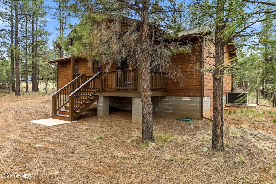 2934 Ransack Road, Overgaard, AZ 85933 - #3