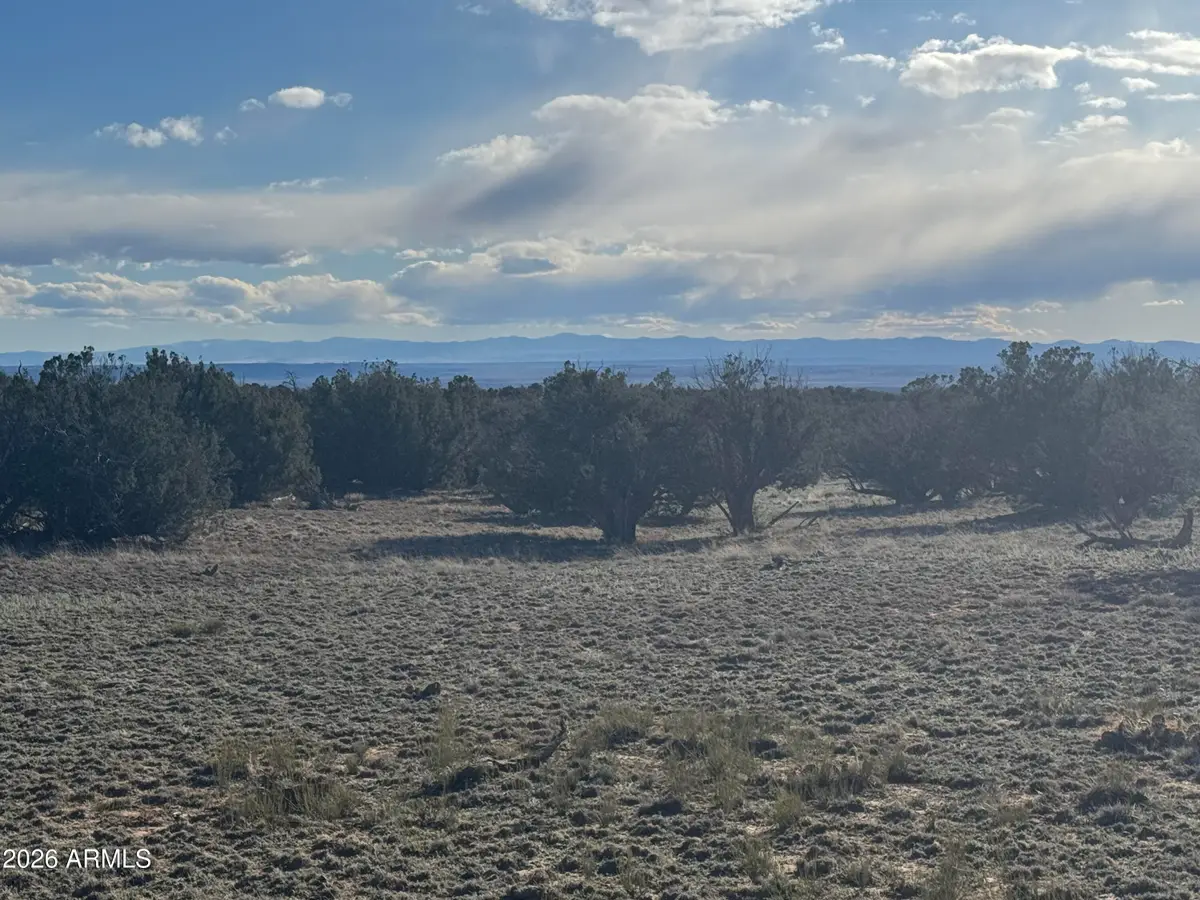 Lot 215 Woodland Valley Ranch -- #215, Saint Johns, AZ 85936 - #1