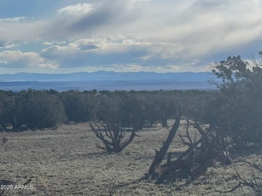 Lot 215 Woodland Valley Ranch -- #215, Saint Johns, AZ 85936 - #3