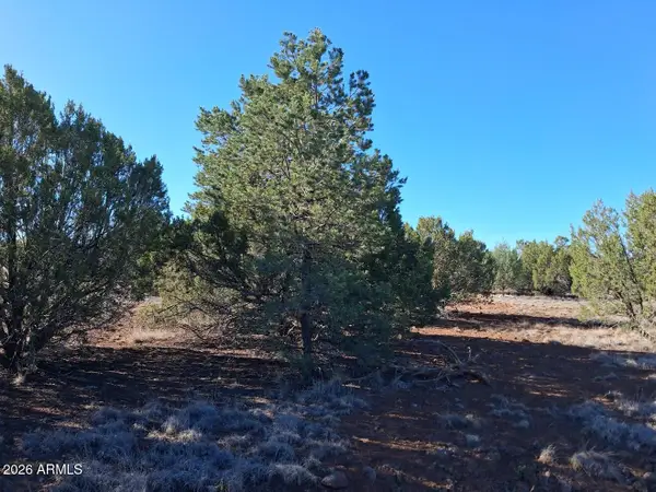 1294 Geronimo Drive, Show Low, AZ 85901