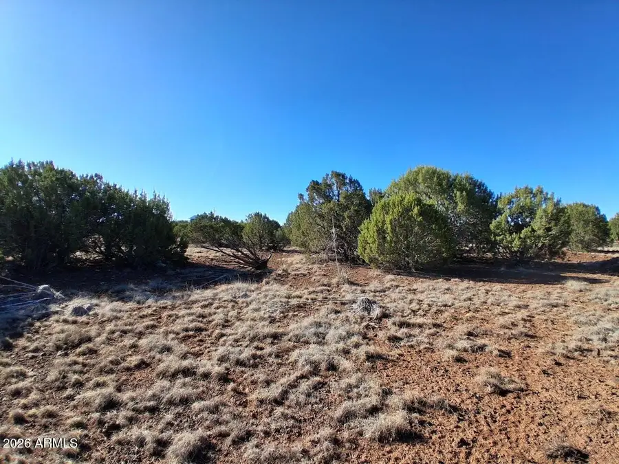 1294 Geronimo Drive, Show Low, AZ 85901 - #3