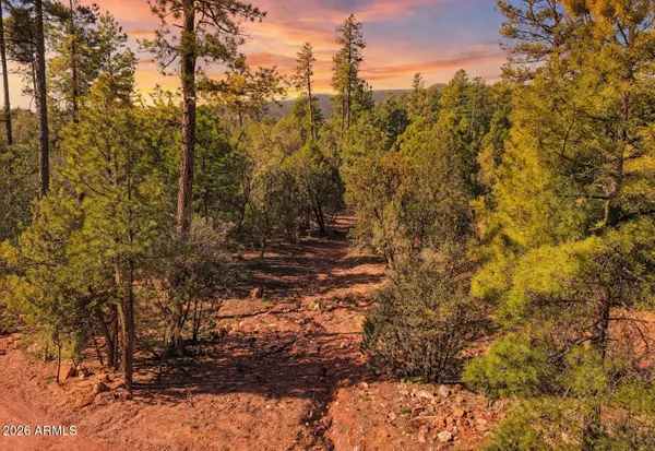 0 Fawn Drive #5, Pine, AZ 85544