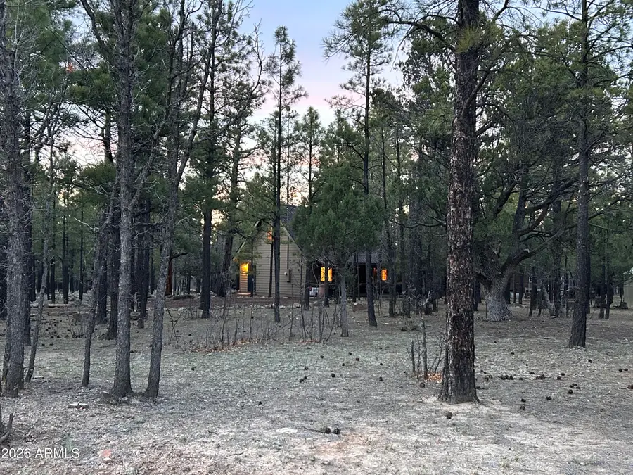 2799 Apache Drive, Happy Jack, AZ 86024 - #2