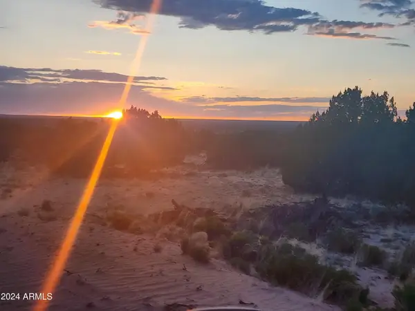 000 N Tbd Drive #9, St Johns, AZ 85936