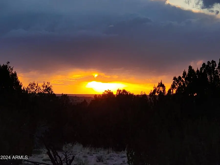 000 N Tbd Drive #9, Saint Johns, AZ 85936 - #2