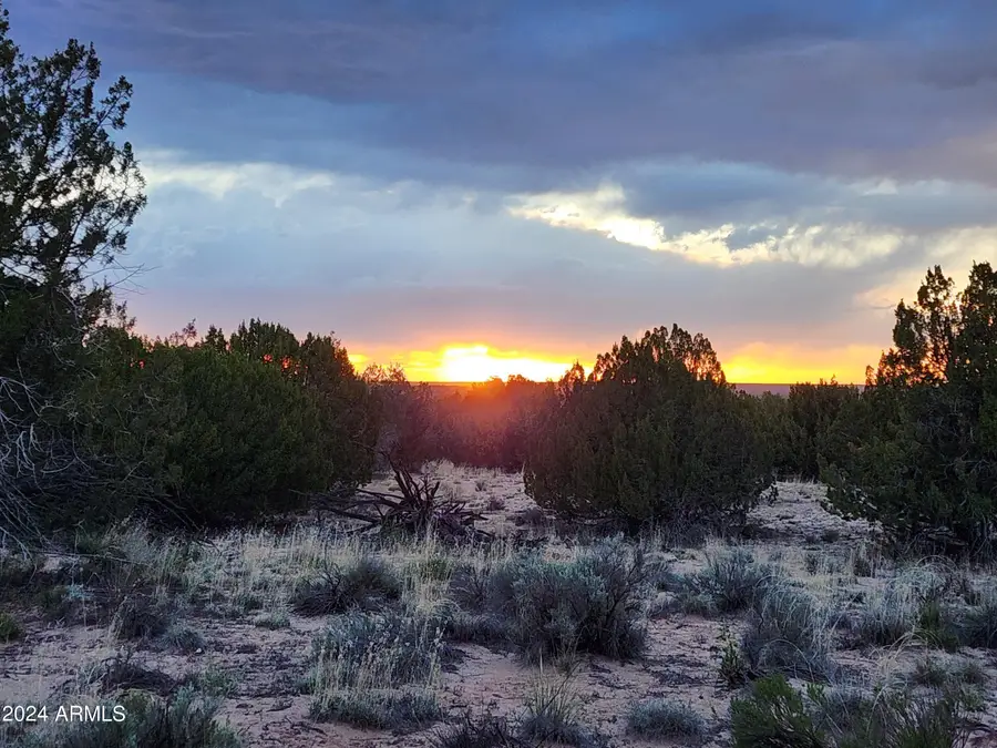 000 N Tbd Drive #9, Saint Johns, AZ 85936 - #3