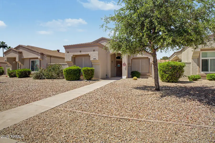 20034 N Greenview Drive, Sun City West, AZ 85375 - #2