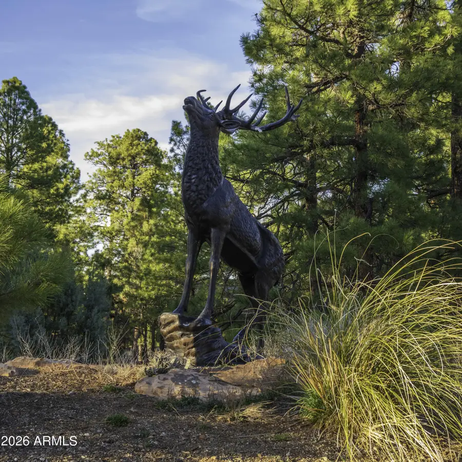 3633 Sunset Ridge Loop #166, Happy Jack, AZ 86024 - #3