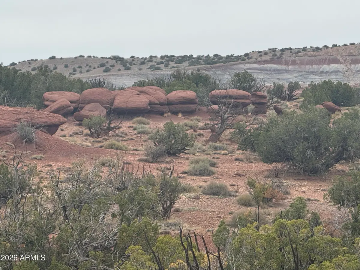 Lot 222 River Springs Ranch -- #222, Saint Johns, AZ 85936 - #1