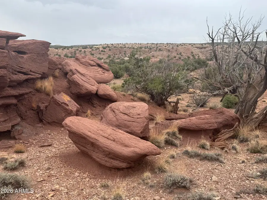 Lot 222 River Springs Ranch -- #222, Saint Johns, AZ 85936 - #3