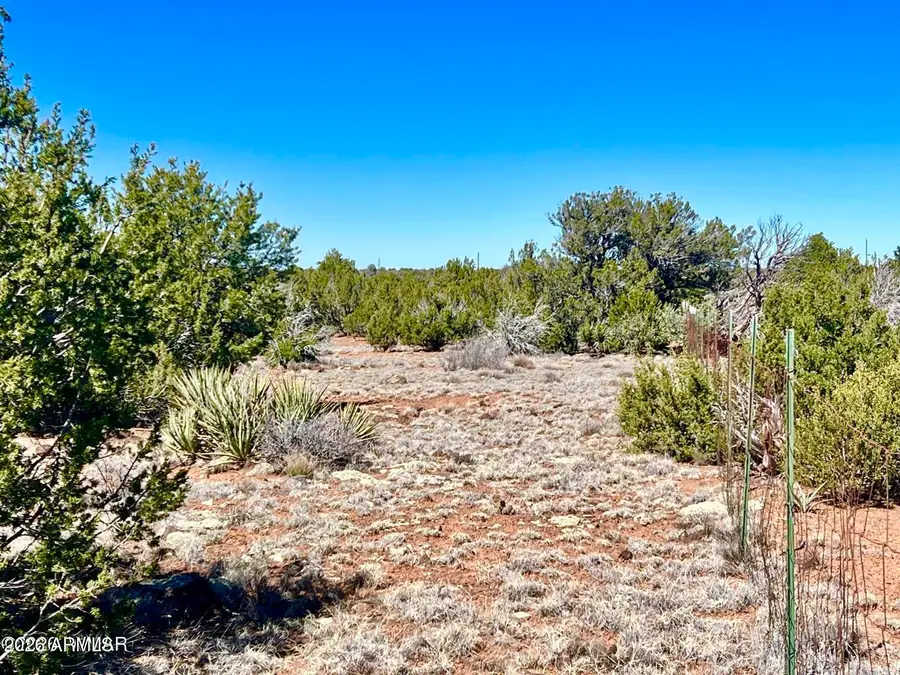 TBD Co Rd 8307 Lot 100 --, Concho, AZ 85924 - #2