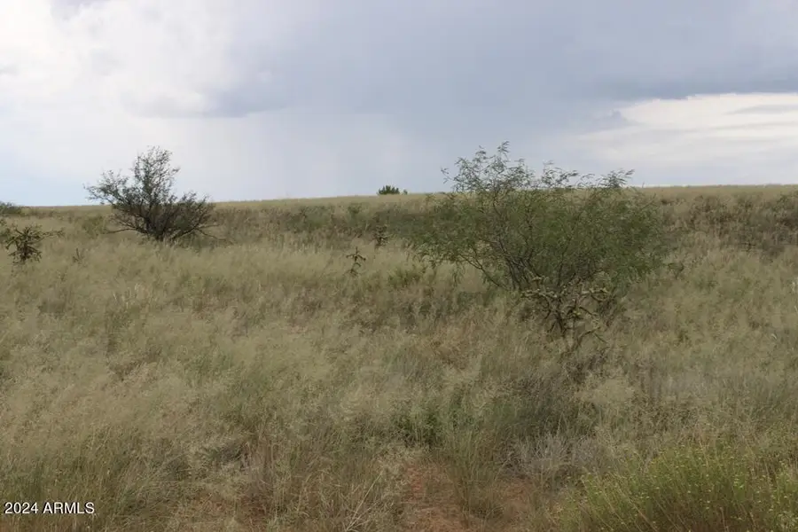 206 S Coatimundi Court #15, Hereford, AZ 85615 - #3