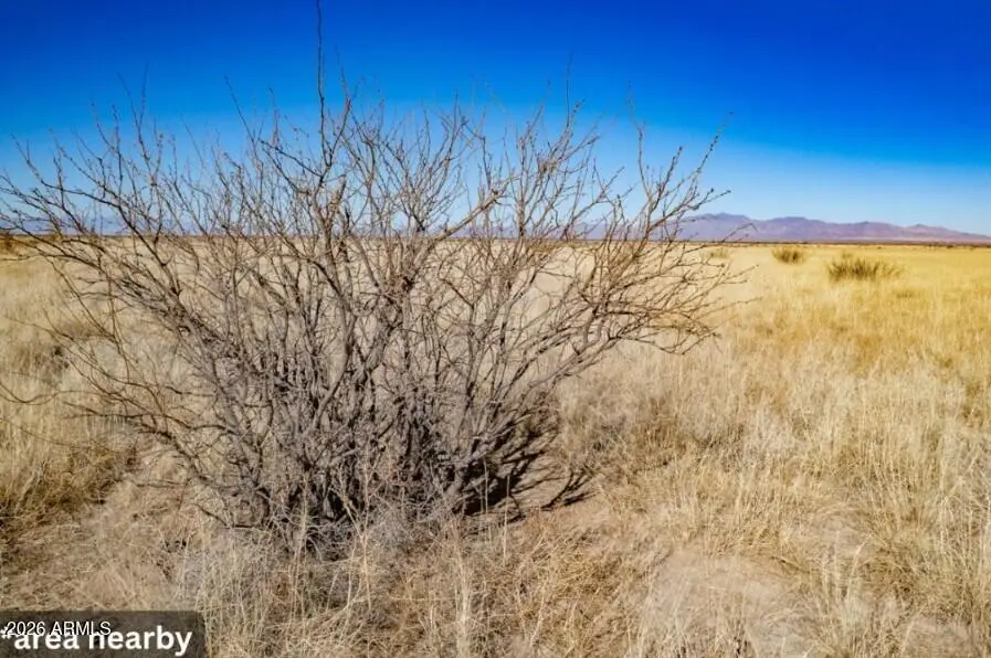 0 N Vista Del Cerro Dr Offshoot --, Douglas, AZ 85067 - #2