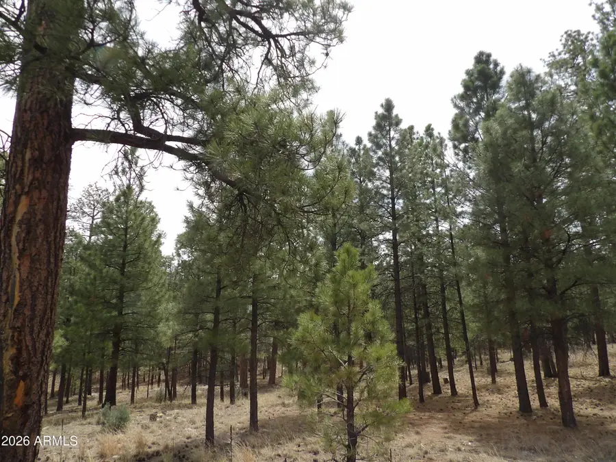 2011 Pine Canyon Drive #173, Happy Jack, AZ 86024 - #2